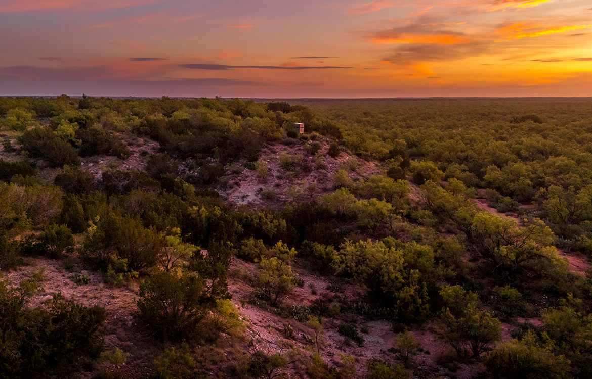 Colorado River Bluff Ranch 309 Acres For Sale In Runnels County Image 12
