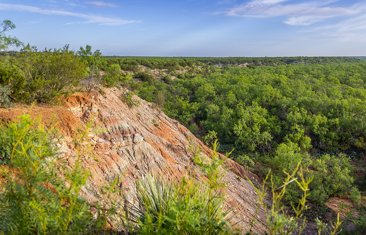 Colorado River Bluff Ranch 309 Acres For Sale In Runnels County Image 8