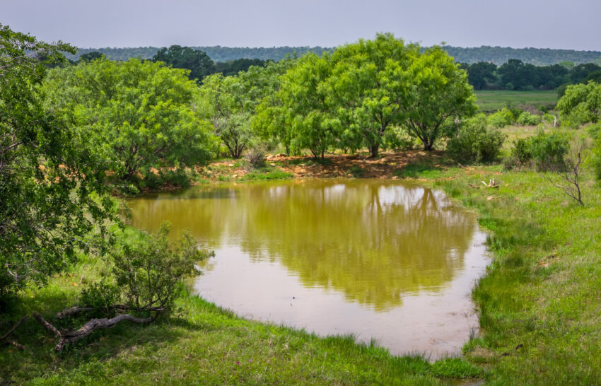 De La Paz Ranch 35 Acre Property for Sale in San Saba County Image 2
