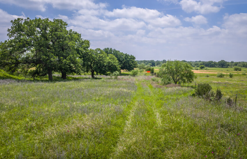 De La Paz Ranch 35 Acre Property for Sale in San Saba County Image 5