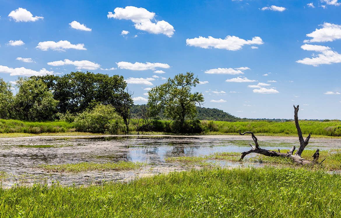 De La Paz Ranch 99 Acre Ranch For Sale In San Saba County Image 2