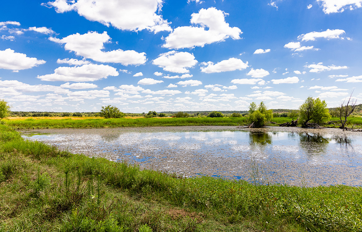 De La Paz Ranch 99 Acre Ranch For Sale In San Saba County Image 6
