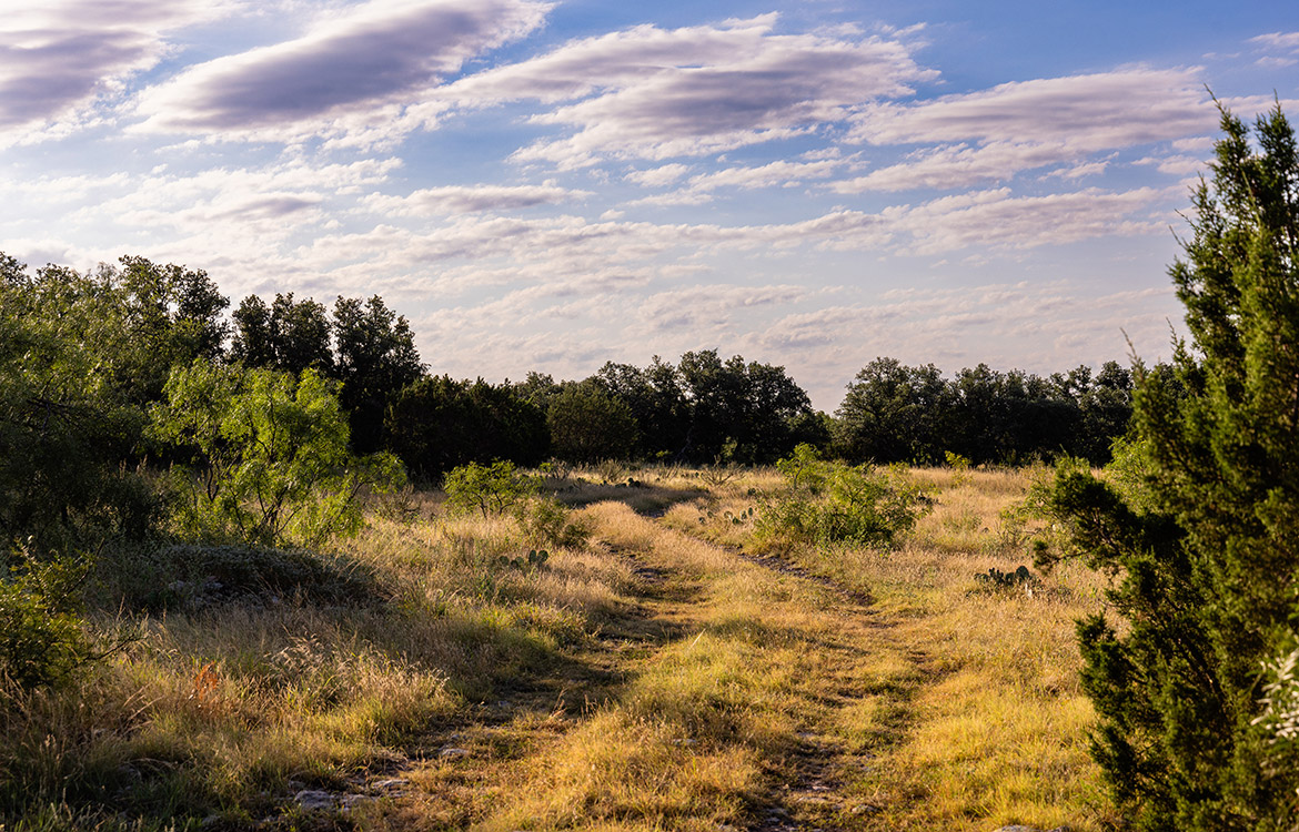 Wild Branch Ranch 106 Acre Ranch For Sale In Brown County Image Secluded Oaks Ranch 53 Acre Ranch For Sale In Schleicher County Image 1