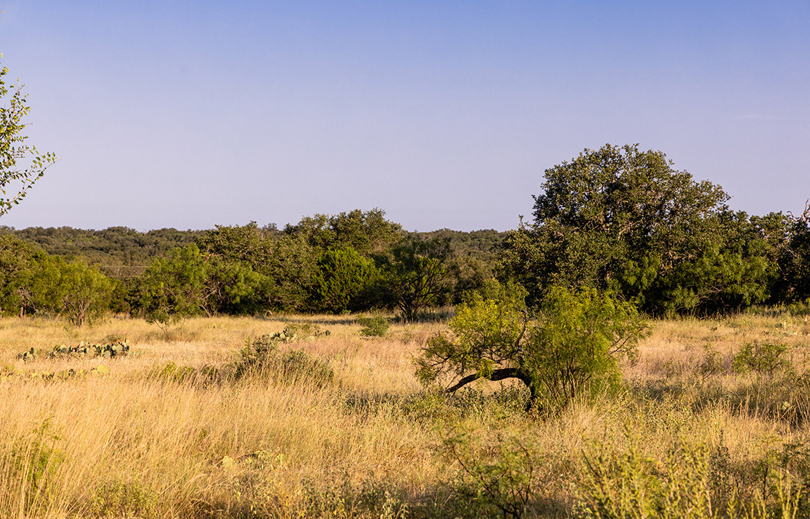 Secluded Oaks Ranch 53 Acre Ranch For Sale In Schleicher County Image 17