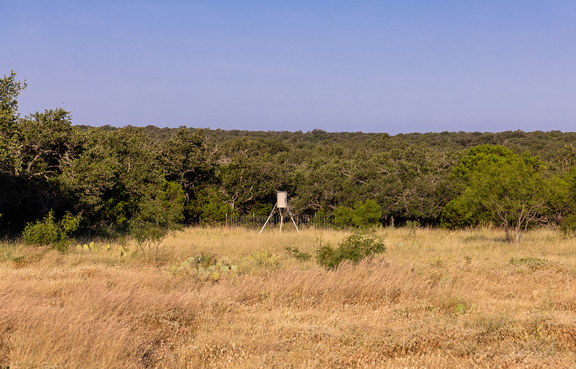 Secluded Oaks Ranch 53 Acre Ranch For Sale In Schleicher County Image 18