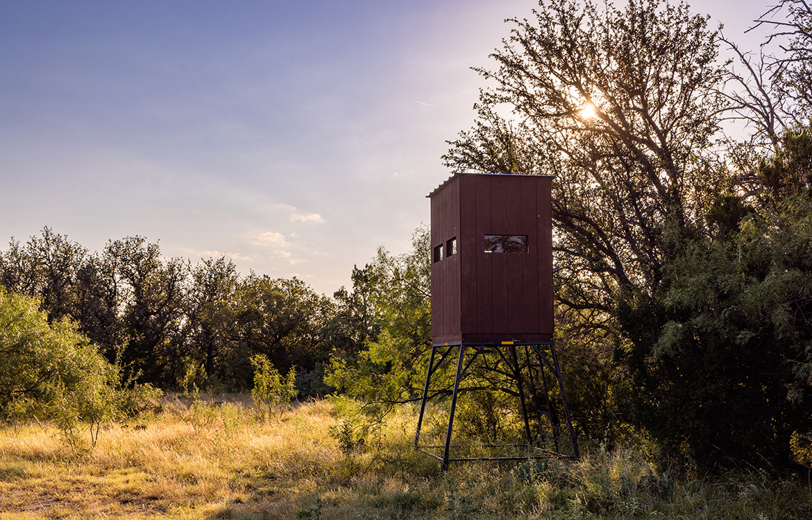 Secluded Oaks Ranch 53 Acre Ranch For Sale In Schleicher County Image 4