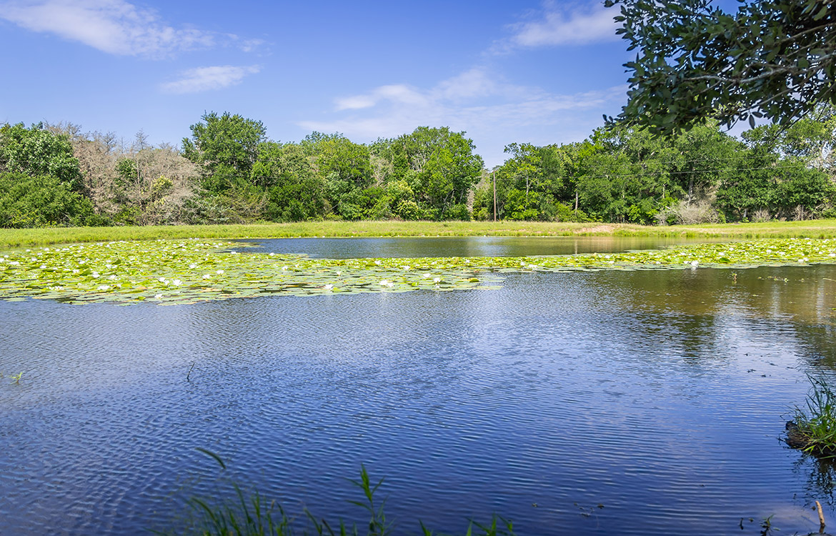 Bluebonnet Ridge Ranch 184 Acres For Sale In Washington County Image 1