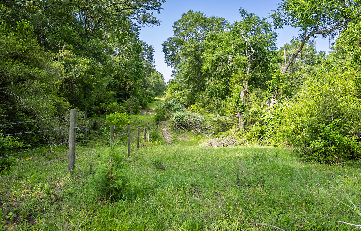 Bluebonnet Ridge Ranch 184 Acres For Sale In Washington County Image 10