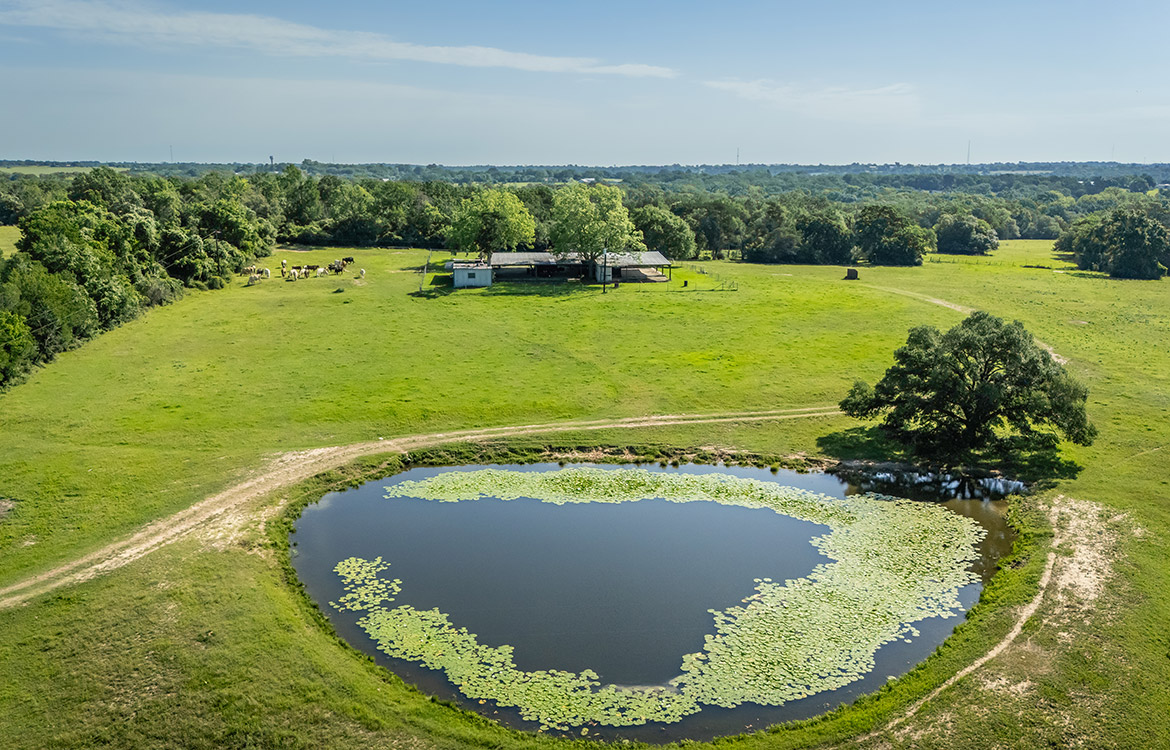 Bluebonnet Ridge Ranch 184 Acres For Sale In Washington County Image 13