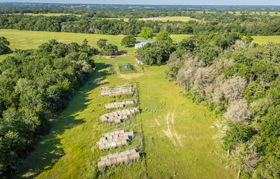 Bluebonnet Ridge Ranch 184 Acres For Sale In Washington County Image 15