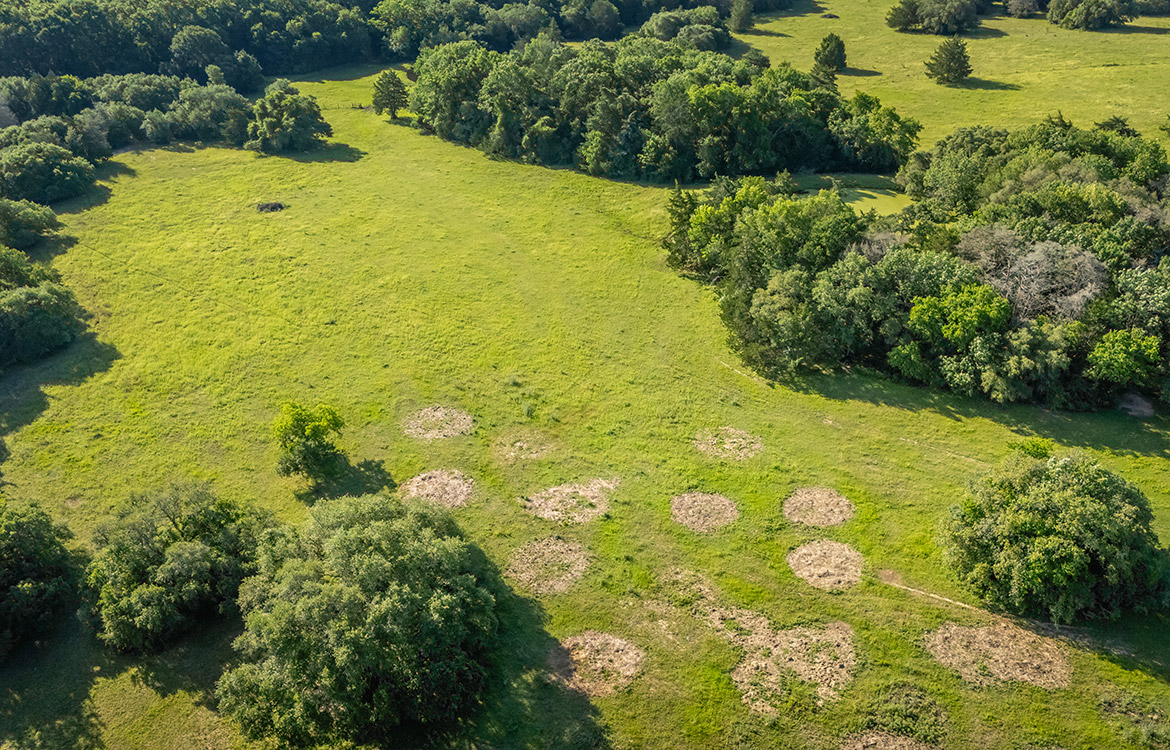 Bluebonnet Ridge Ranch 184 Acres For Sale In Washington County Image 17