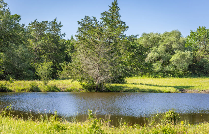 Bluebonnet Ridge Ranch 184 Acres For Sale In Washington County Image 2