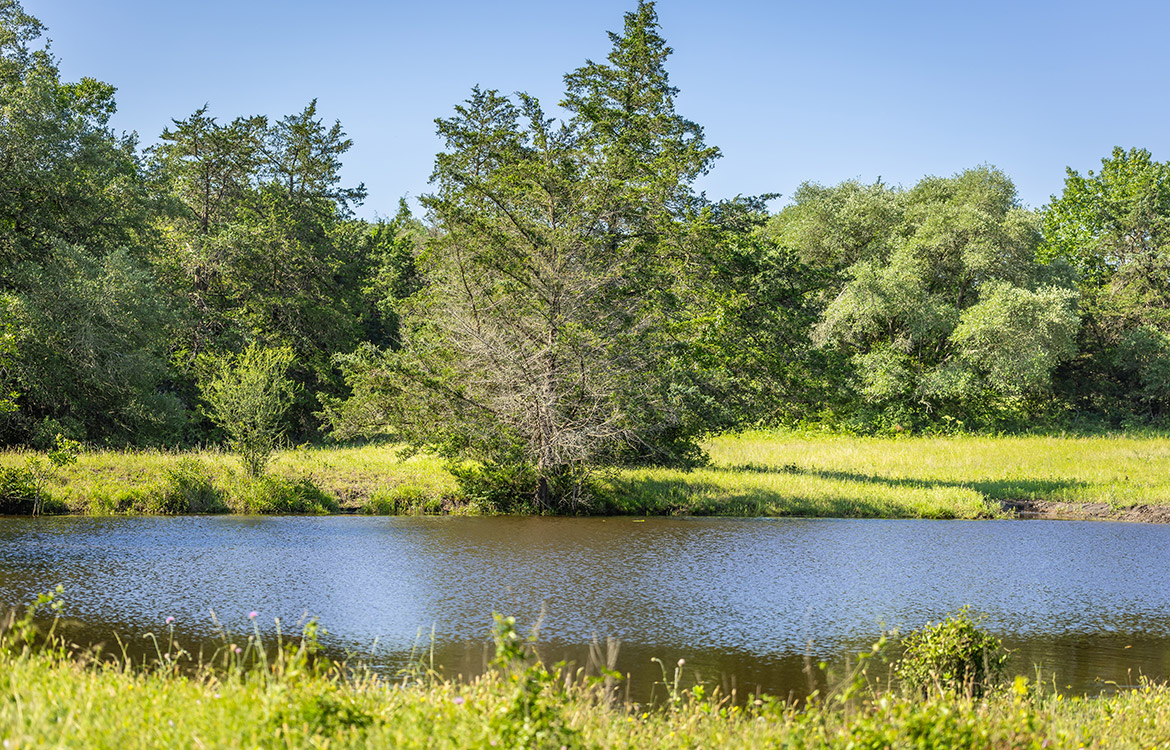 Bluebonnet Ridge Ranch