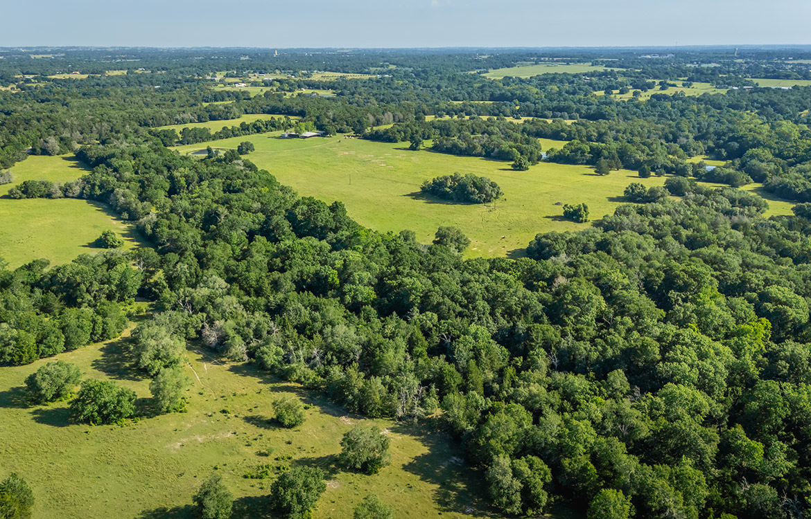 Bluebonnet Ridge Ranch 184 Acres For Sale In Washington County Image 20