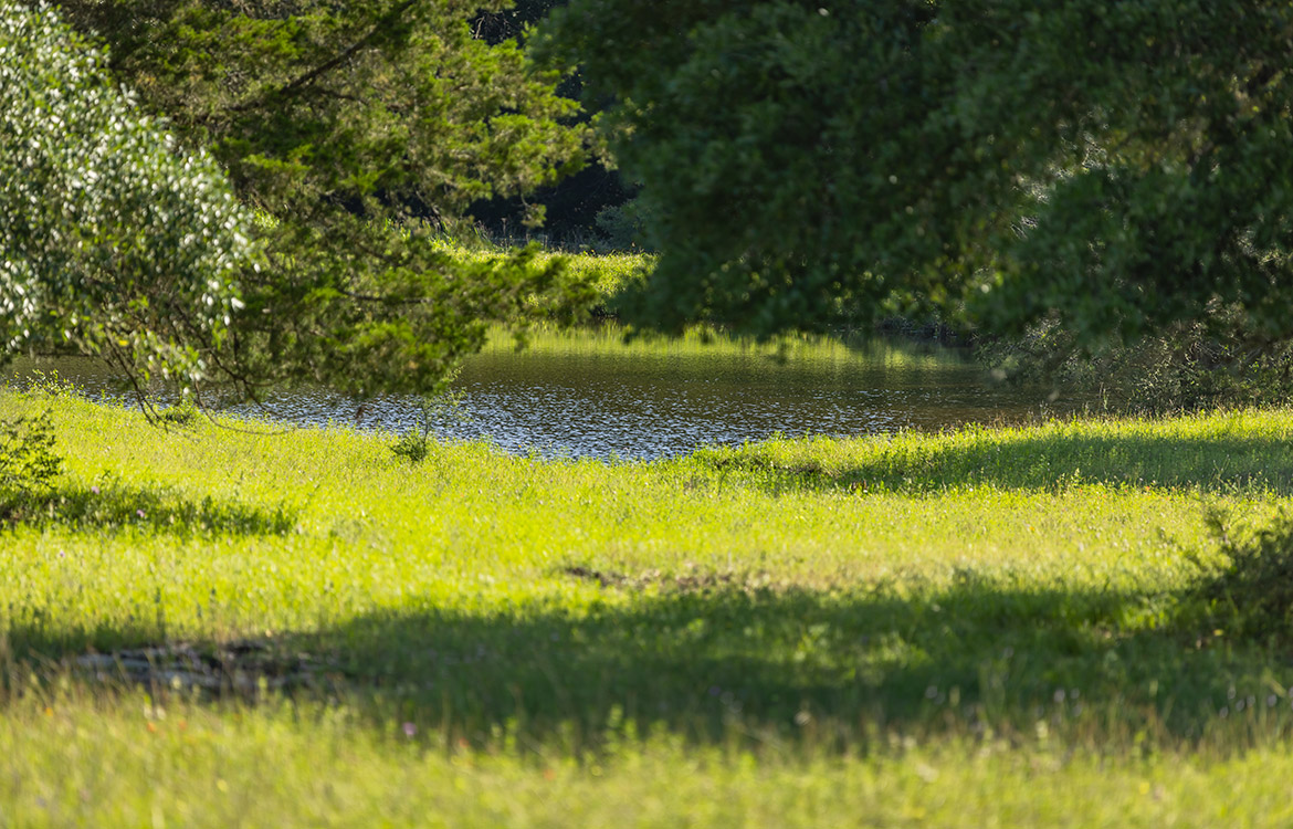 Bluebonnet Ridge Ranch 184 Acres For Sale In Washington County Image 4