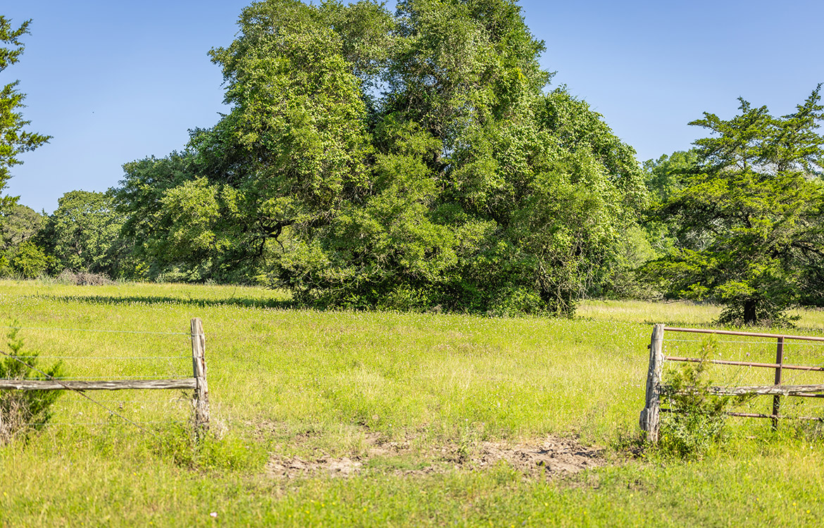 Bluebonnet Ridge Ranch 184 Acres For Sale In Washington County Image 5