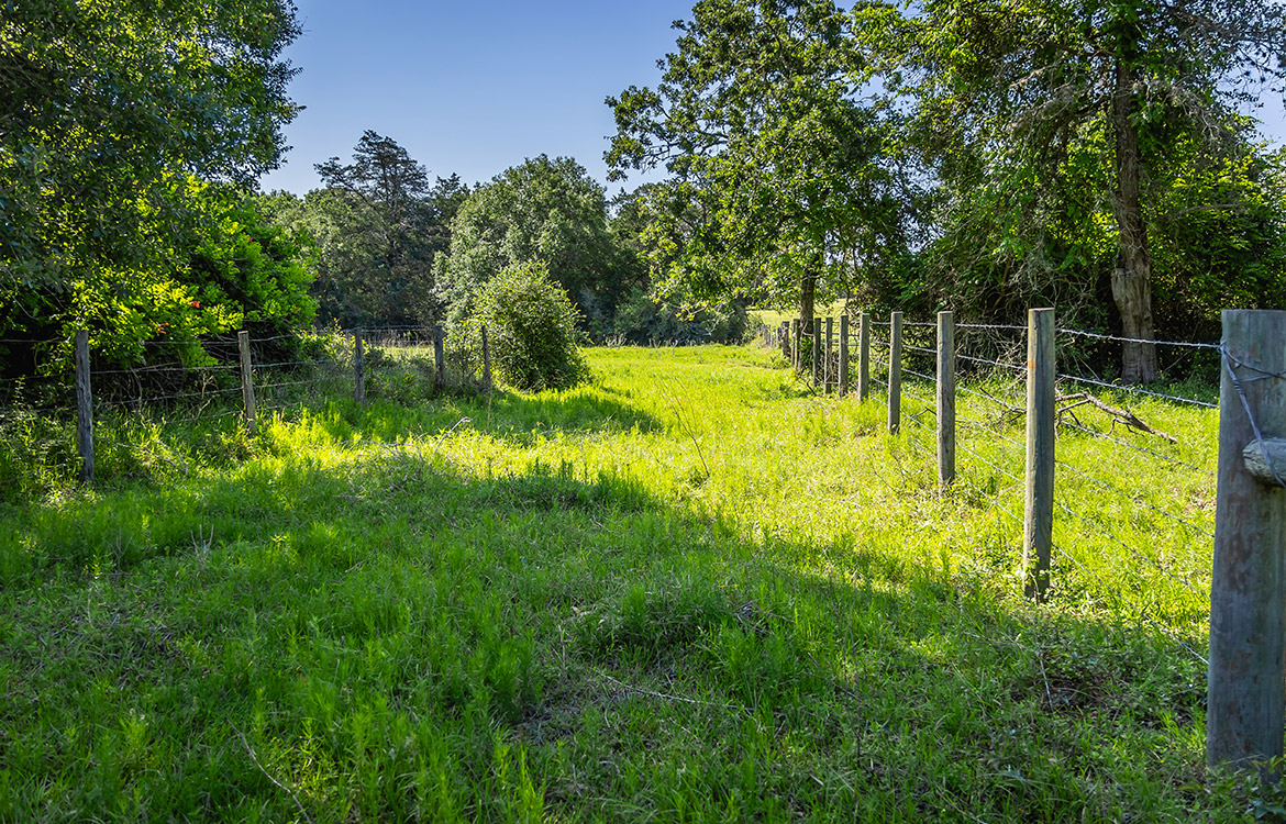 Bluebonnet Ridge Ranch 184 Acres For Sale In Washington County Image 6
