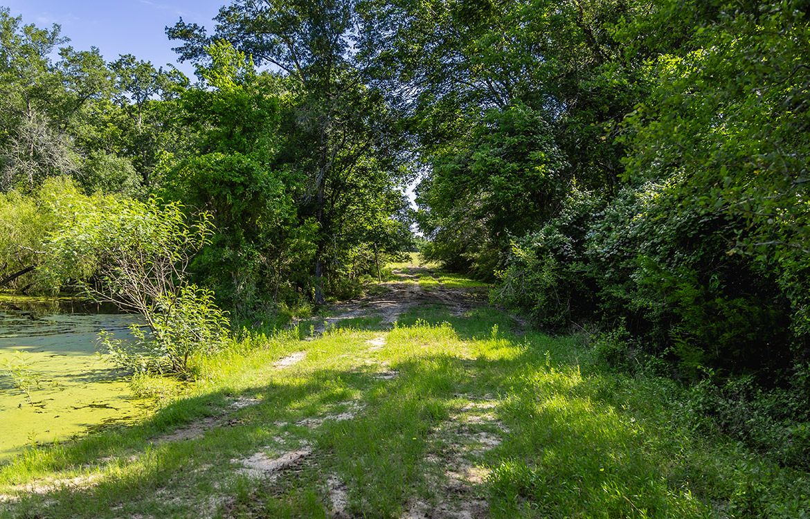 Bluebonnet Ridge Ranch 184 Acres For Sale In Washington County Image 7