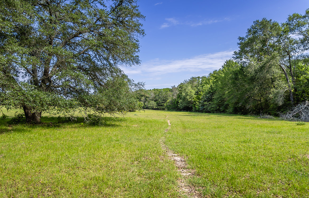 Bluebonnet Ridge Ranch 184 Acres For Sale In Washington County Image 8