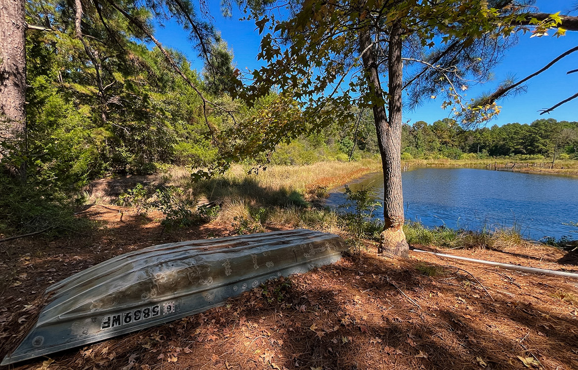 Powell Palestine Ranch 57 Acre Ranch For Sale in Anderson County Texas Image 1