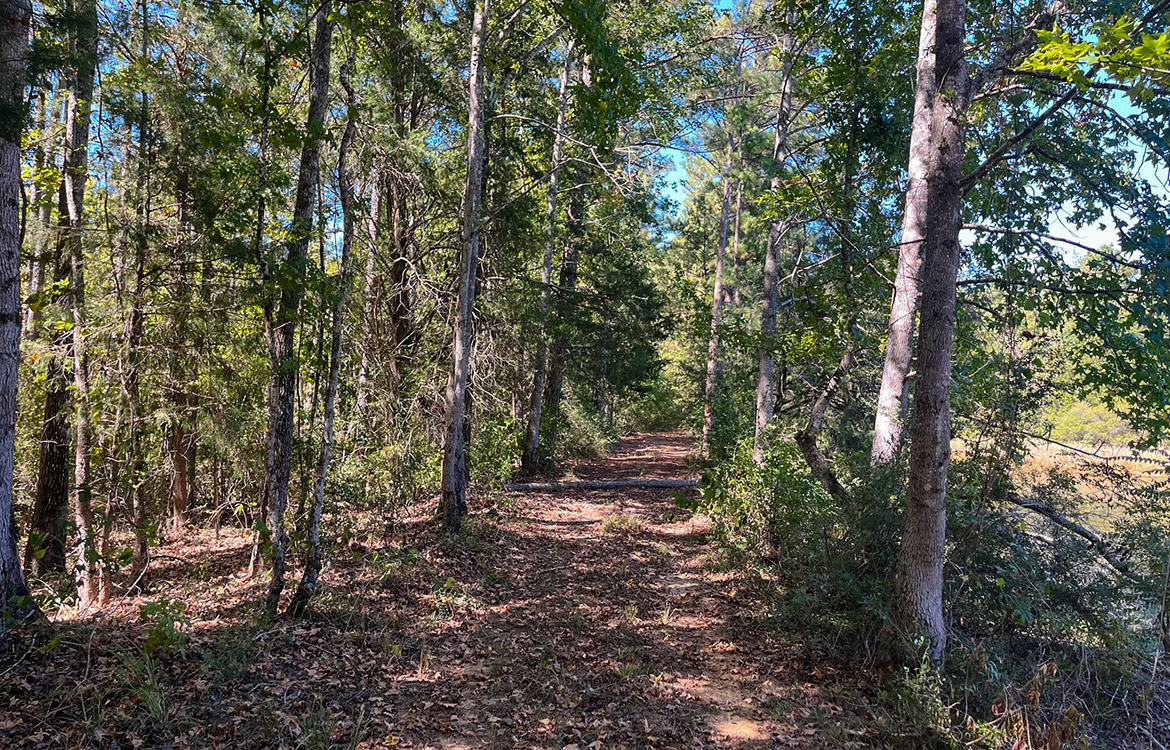 Powell Palestine Ranch 57 Acre Ranch For Sale in Anderson County Texas Image 10