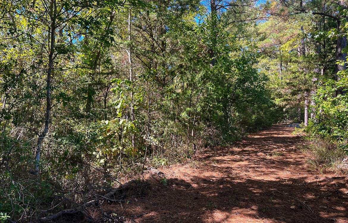 Powell Palestine Ranch 57 Acre Ranch For Sale in Anderson County Texas Image 11