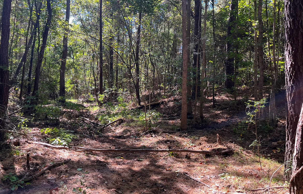 Powell Palestine Ranch 57 Acre Ranch For Sale in Anderson County Texas Image 14