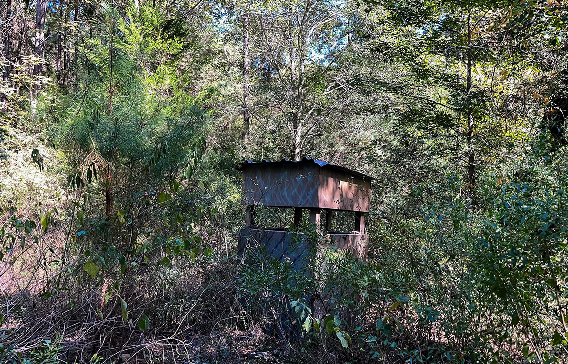 Powell Palestine Ranch 57 Acre Ranch For Sale in Anderson County Texas Image 15