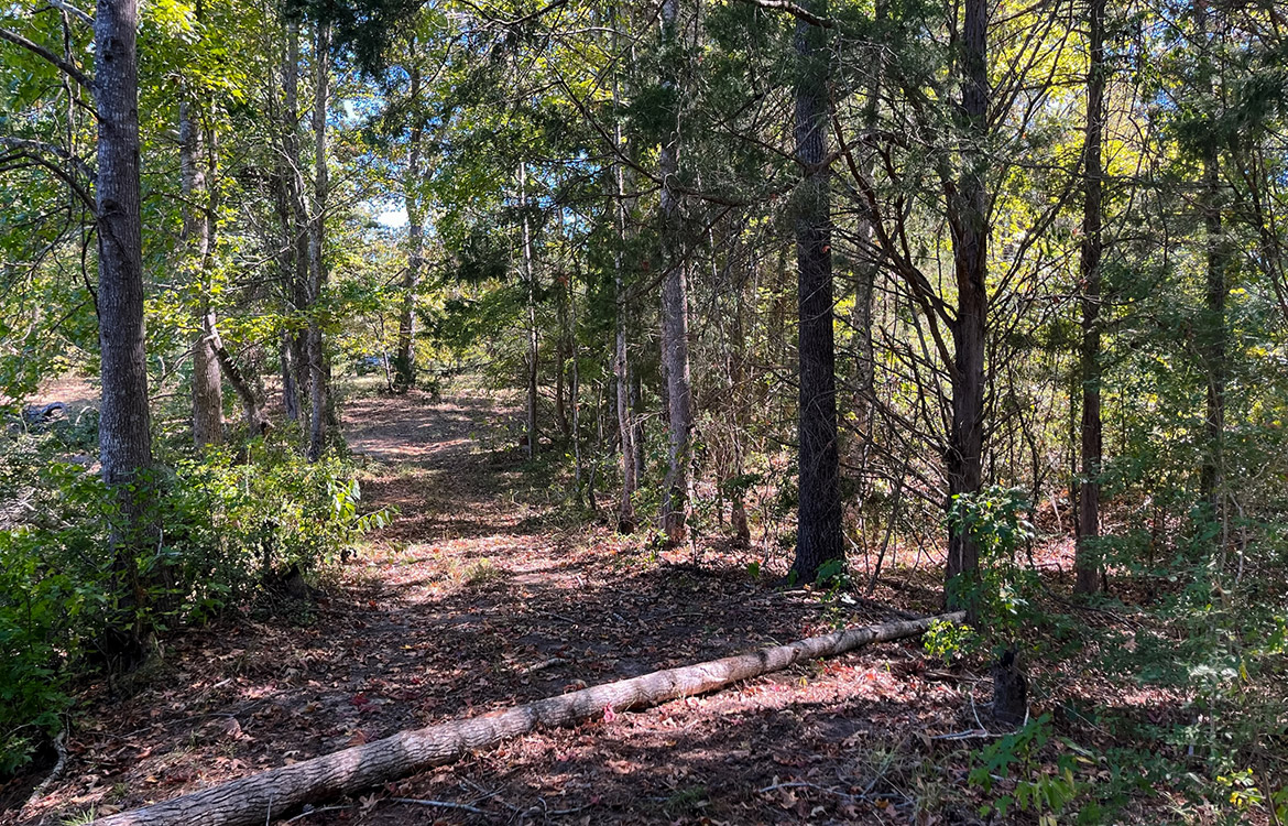 Powell Palestine Ranch 57 Acre Ranch For Sale in Anderson County Texas Image 16