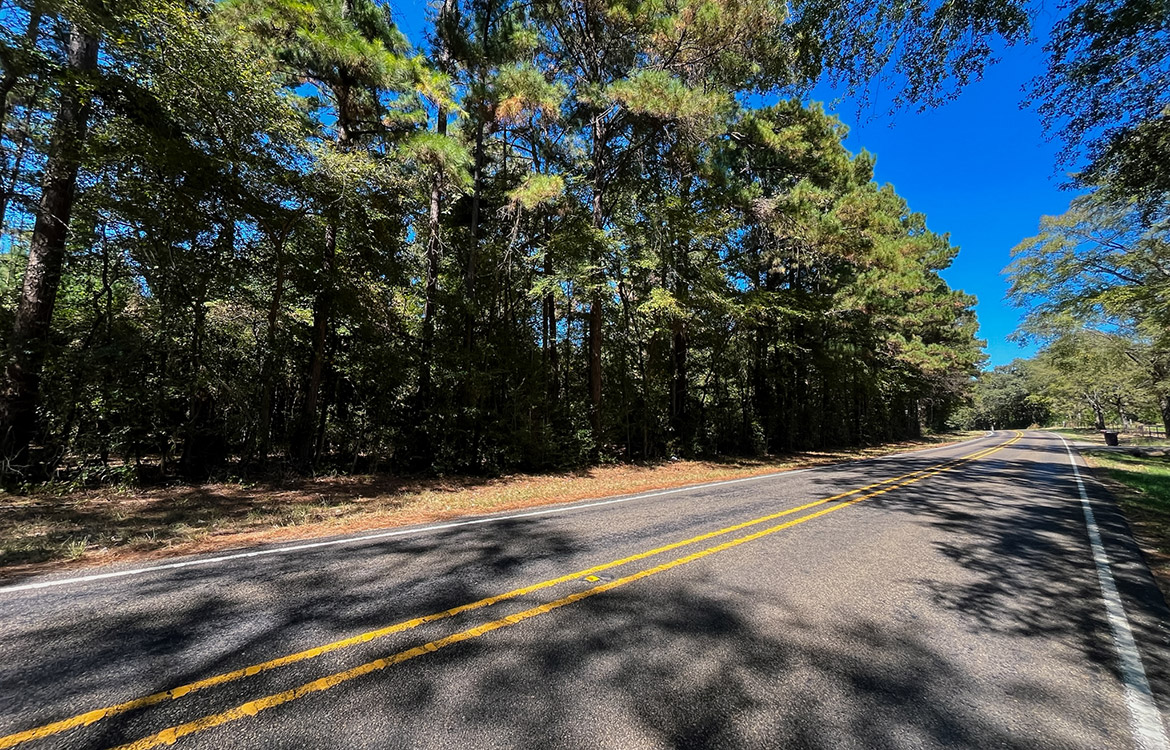 Powell Palestine Ranch 57 Acre Ranch For Sale in Anderson County Texas Image 18