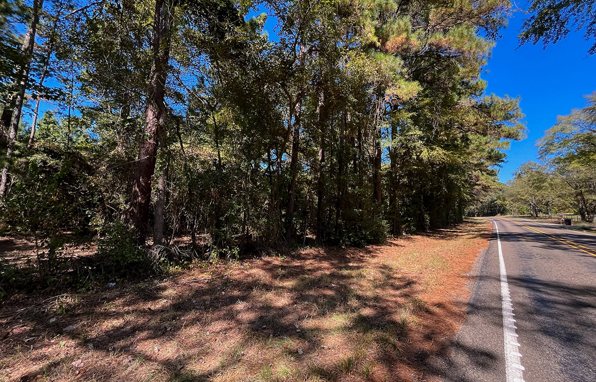 Powell Palestine Ranch 57 Acre Ranch For Sale in Anderson County Texas Image 19