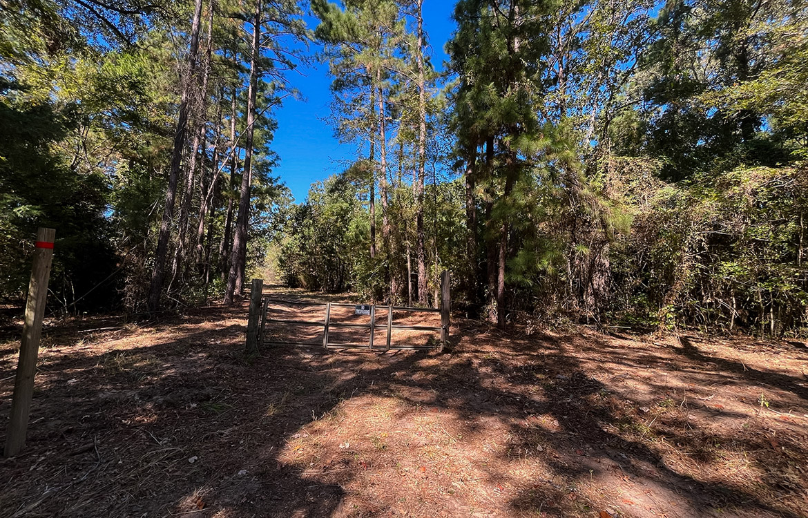 Powell Palestine Ranch 57 Acre Ranch For Sale in Anderson County Texas Image 20