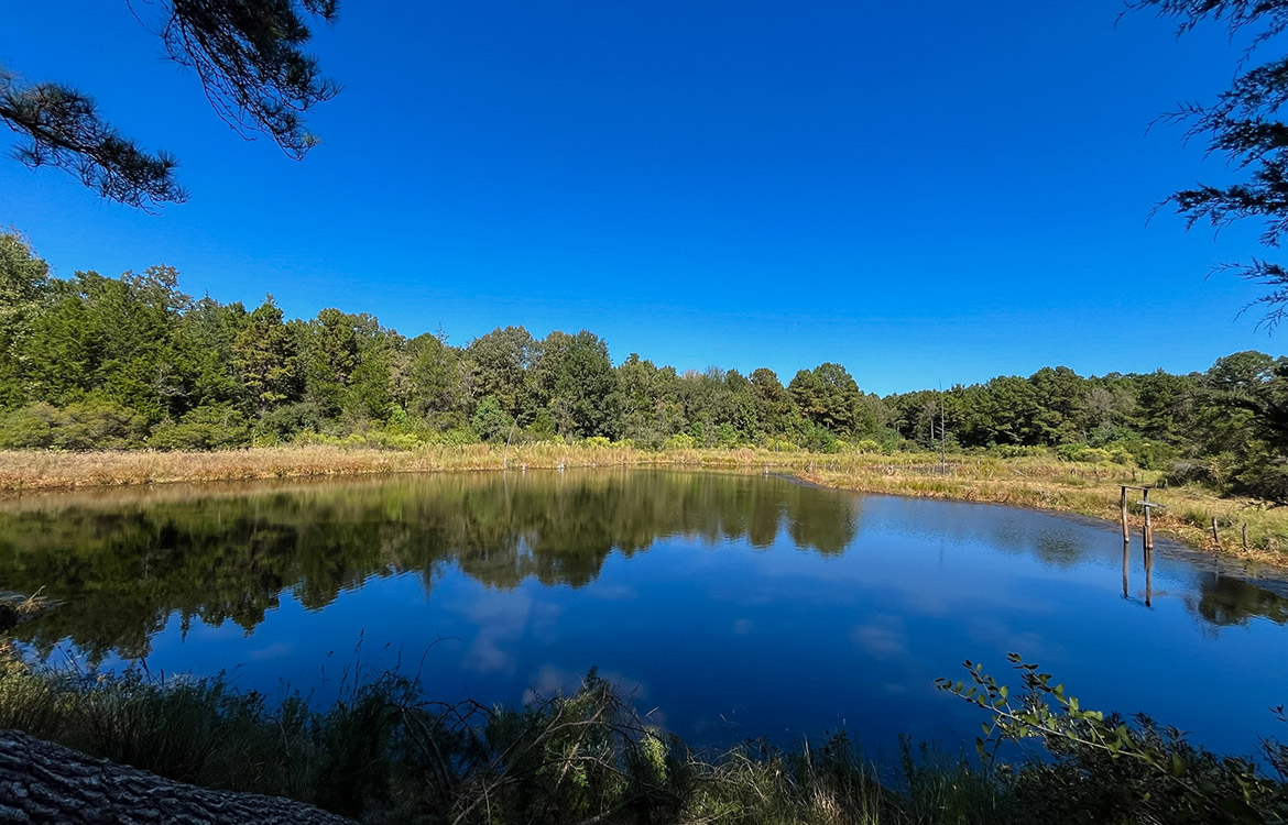 Powell Palestine Ranch 57 Acre Ranch For Sale in Anderson County Texas Image 6
