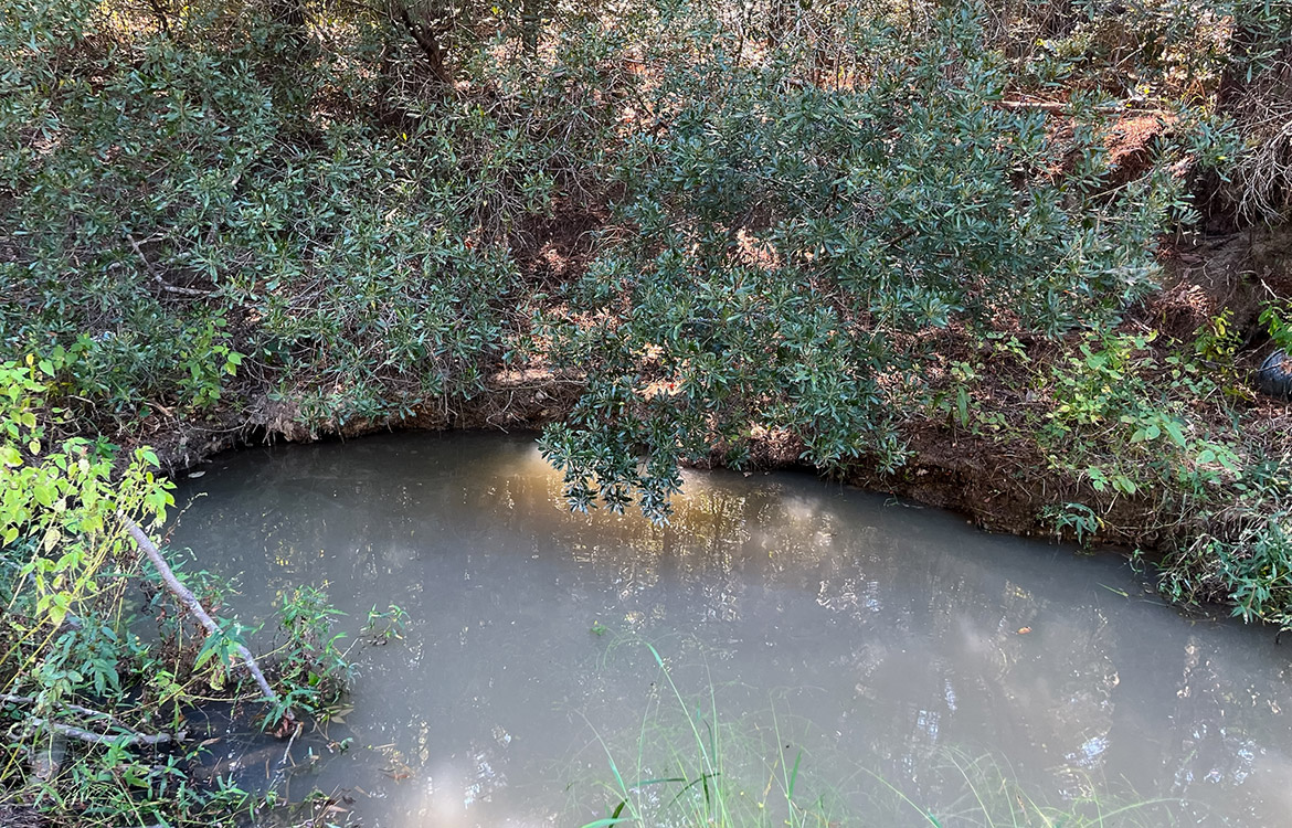 Powell Palestine Ranch 57 Acre Ranch For Sale in Anderson County Texas Image 7