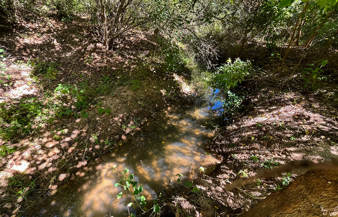 Powell Palestine Ranch 57 Acre Ranch For Sale in Anderson County Texas Image 9