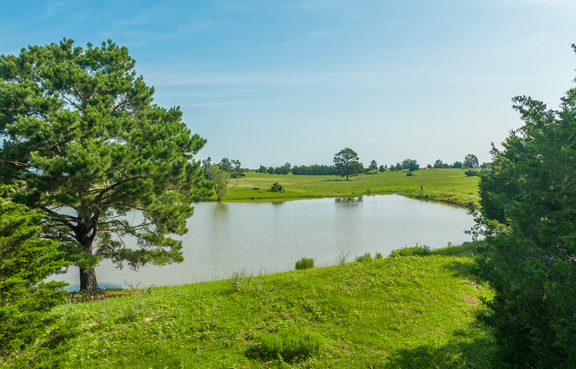Paint Creek Ranch 536 Acre Ranch For Sale In Bastrop County Image 10