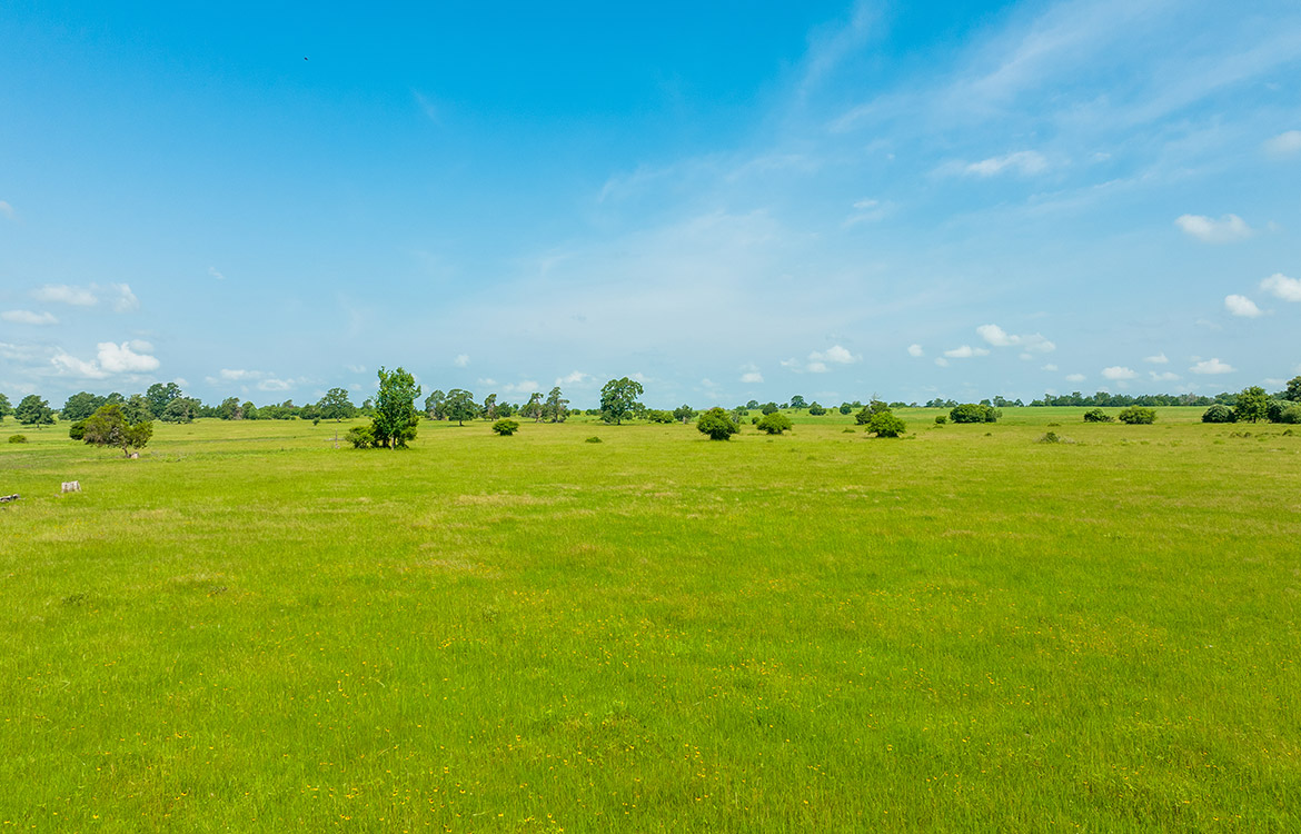 Paint Creek Ranch 536 Acre Ranch For Sale In Bastrop County Image 12