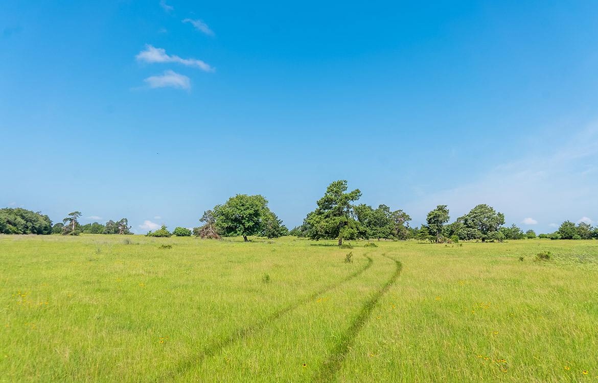 Paint Creek Ranch 536 Acre Ranch For Sale In Bastrop County Image 3