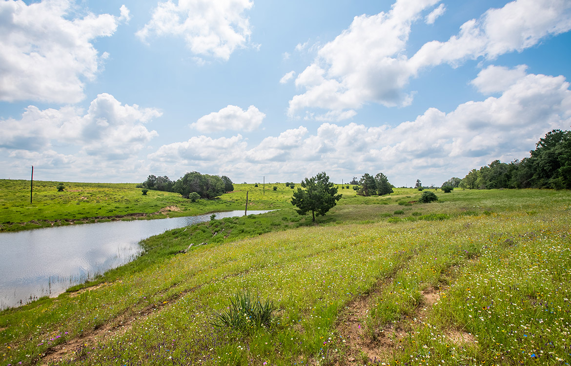 Paint Creek Ranch 536 Acre Ranch For Sale In Bastrop County Image 6