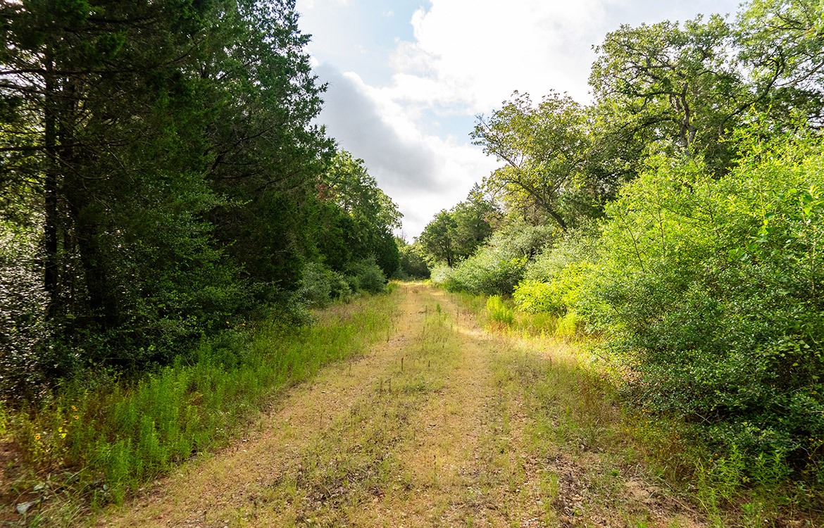 Paint Creek Ranch 536 Acre Ranch For Sale In Bastrop County Image 8