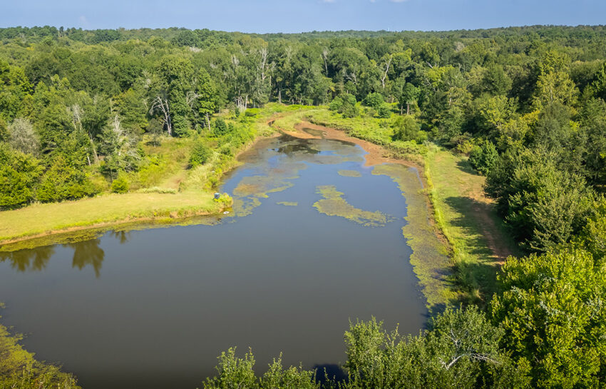Blue Heron Ranch 190 Acre Ranch For Sale In Freestone County Image 20