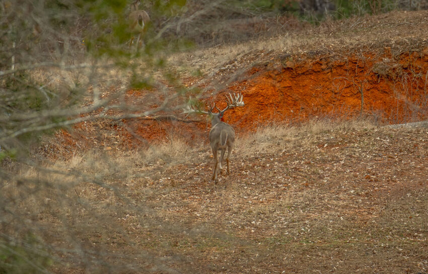 Outfitters Ridge Ranch 165 Acre Ranch For Sale in Gregg County Image 18