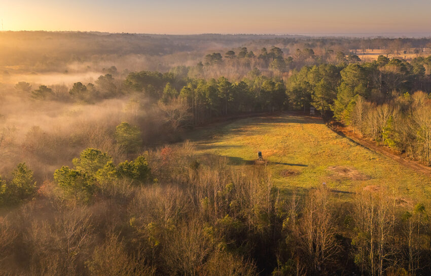 Outfitters Ridge Ranch 165 Acre Ranch For Sale in Gregg County Image 20