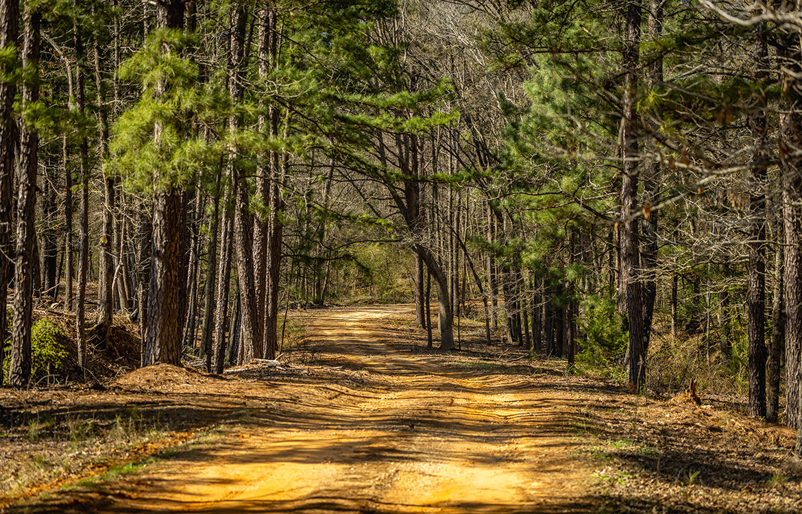 Cherokee Ranch 273 Acre Ranch For Sale In Gregg County Image 15