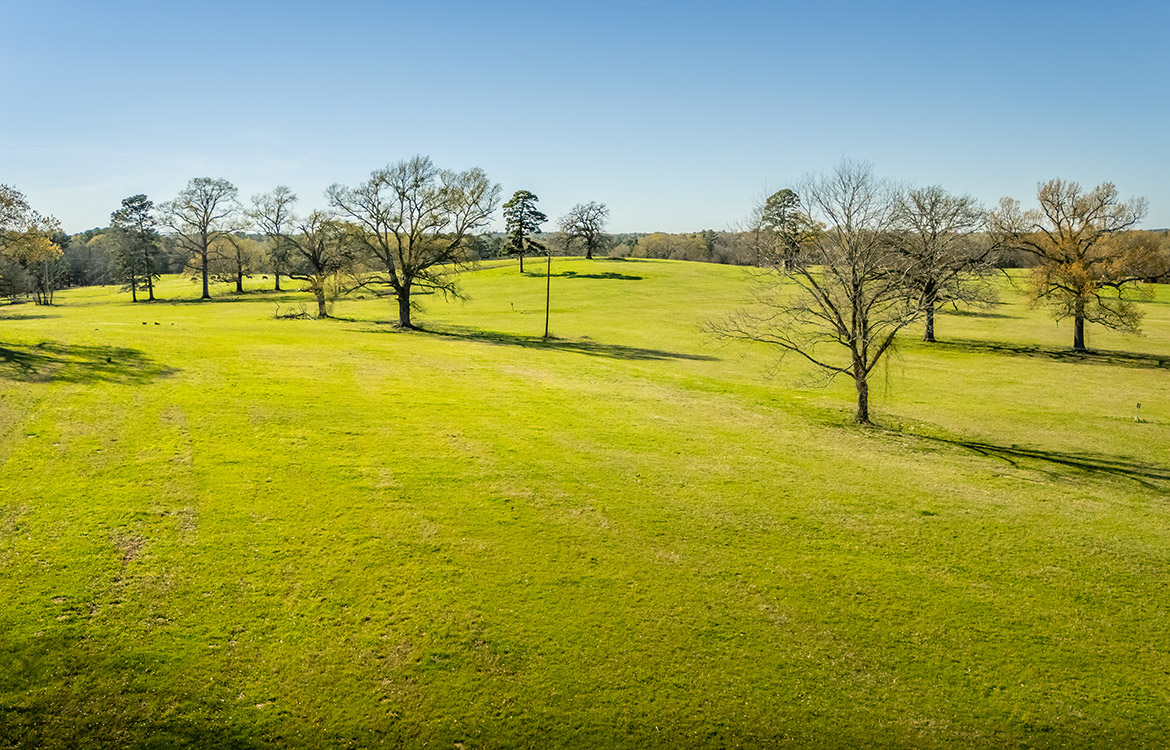 Cherokee Ranch 273 Acre Ranch For Sale In Gregg County Image 16