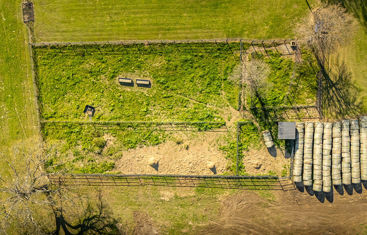 Cherokee Ranch 273 Acre Ranch For Sale In Gregg County Image 17