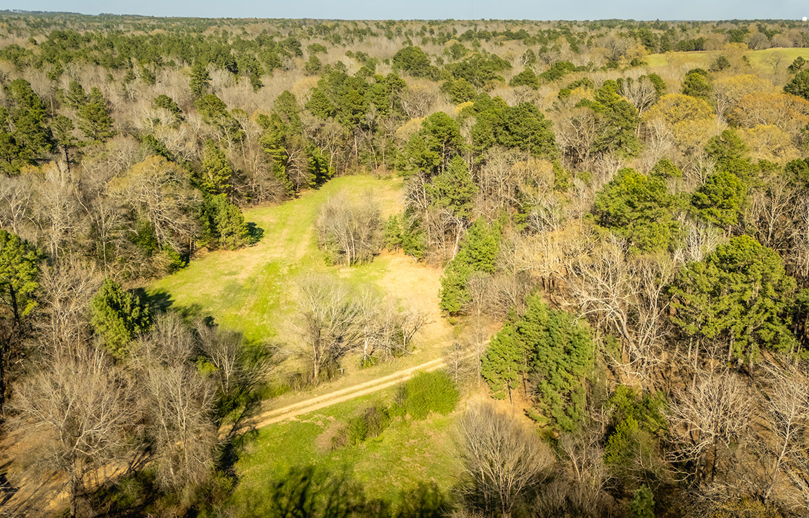 Cherokee Ranch 273 Acre Ranch For Sale In Gregg County Image 19