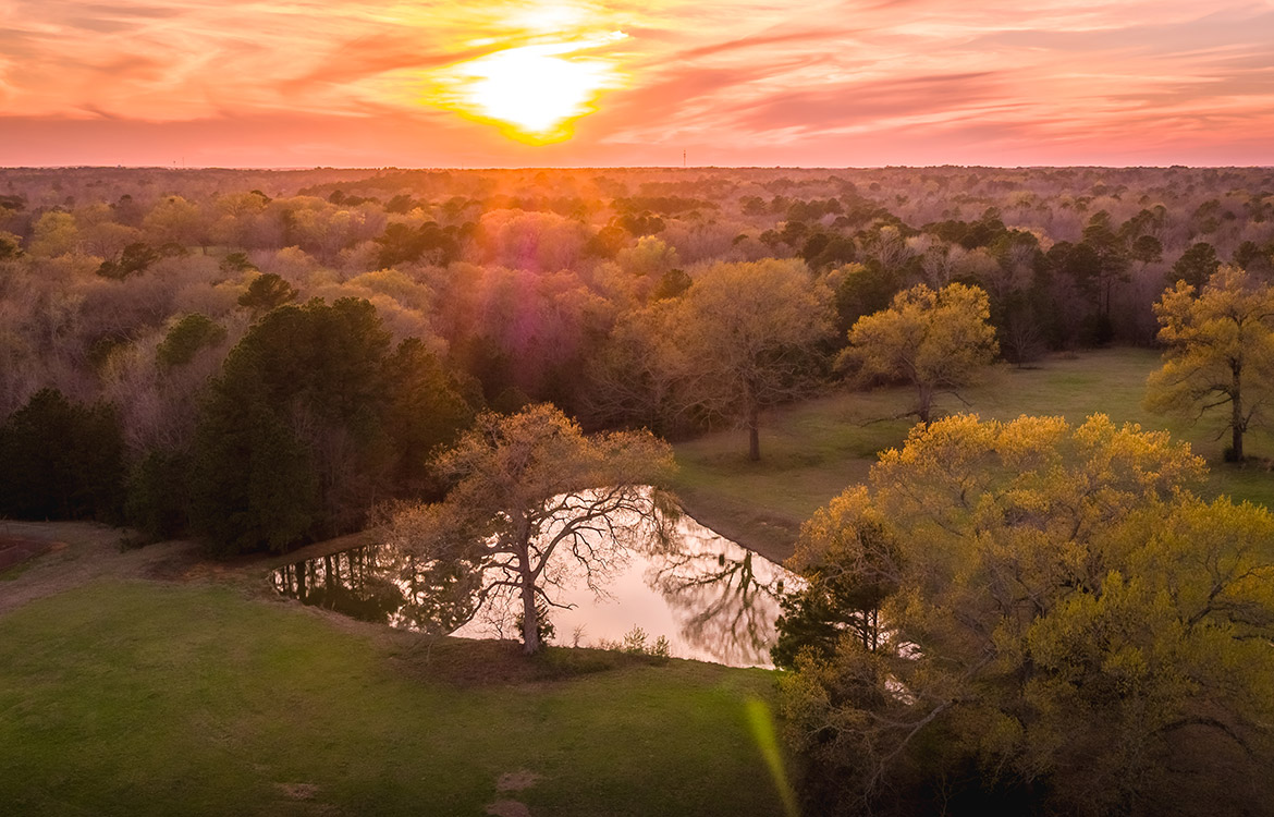 Cherokee Ranch 273 Acre Ranch For Sale In Gregg County Image 20