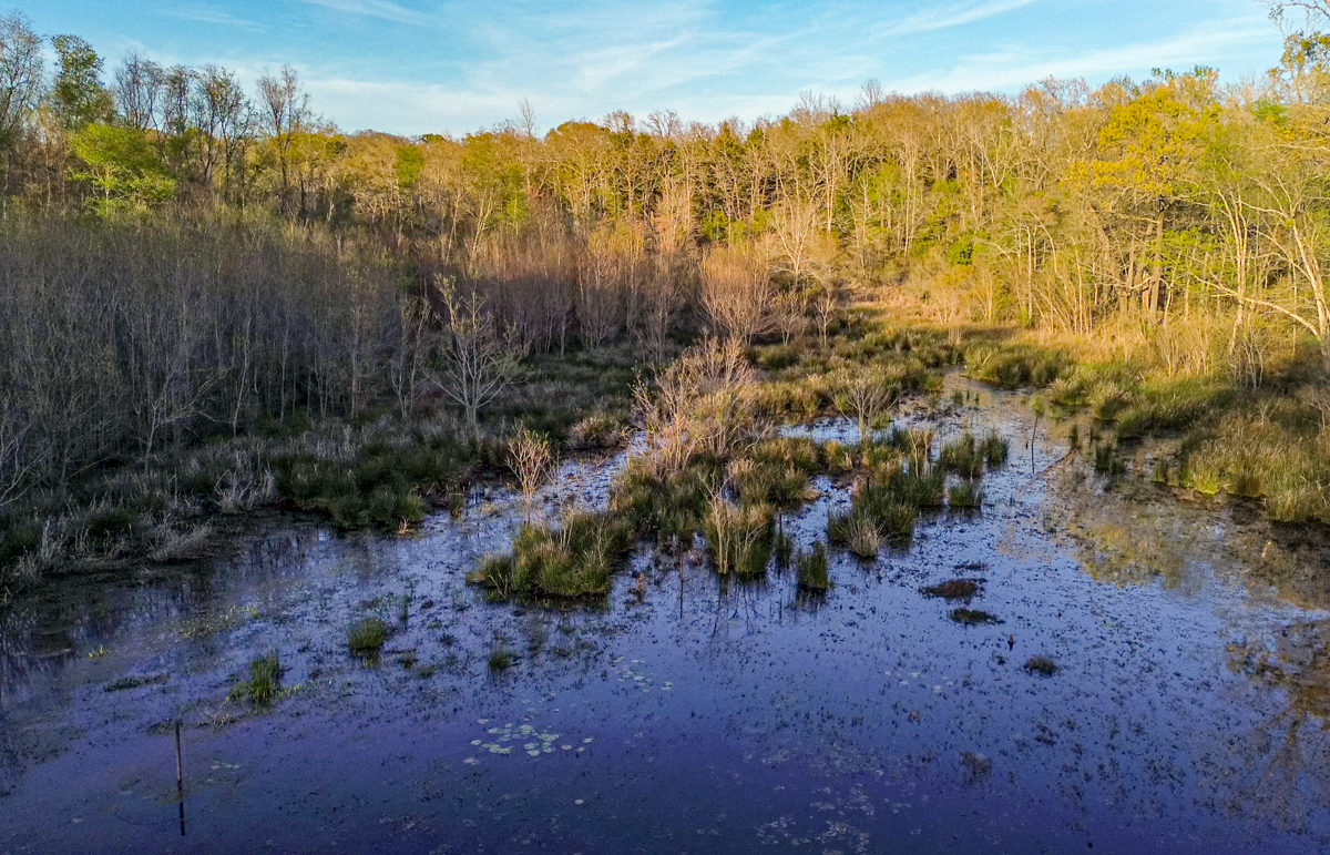 Whispering Pines Ranch 30 Acre Property for Sale in Henderson County Image 1