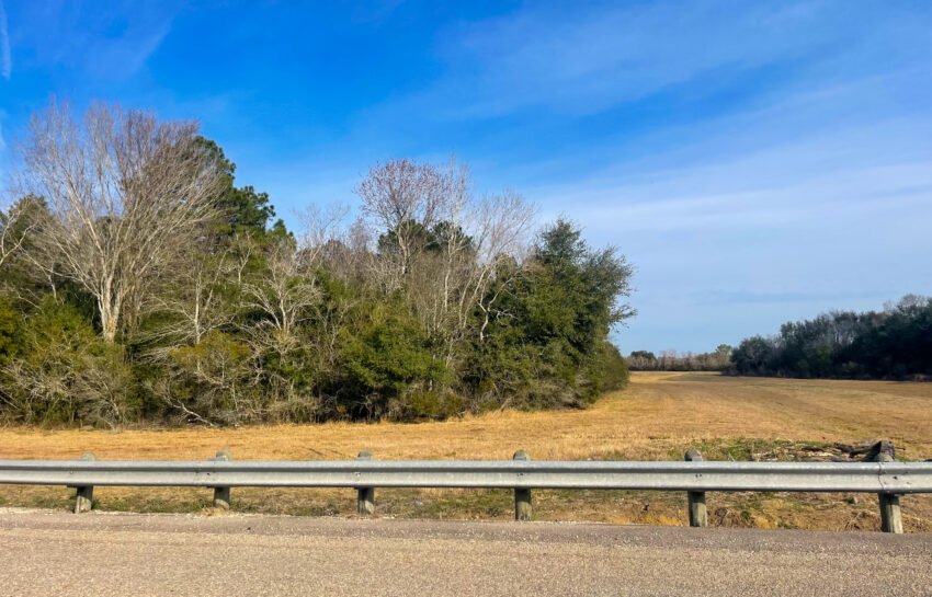 Walden Road Wooded Tract 6 Acres For Sale in Jefferson County Image 2